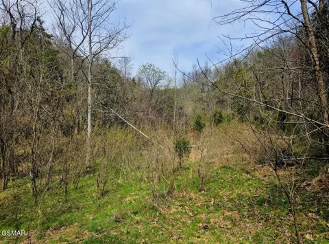 0 McAmis Hollow Road