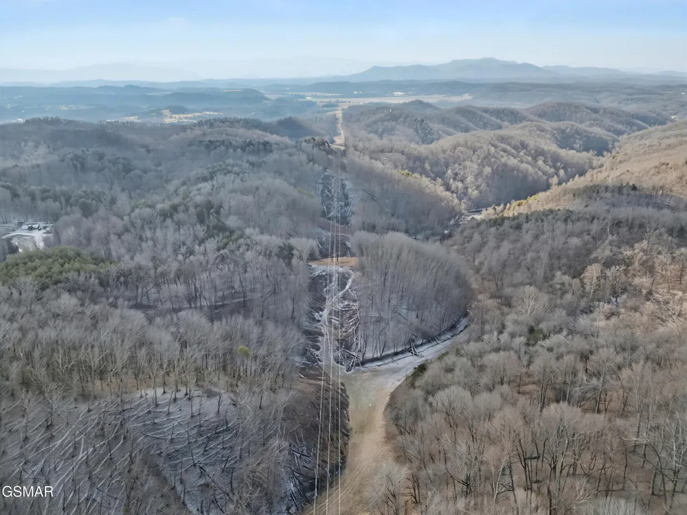 0 McAmis Hollow Road Newport, TN 37821