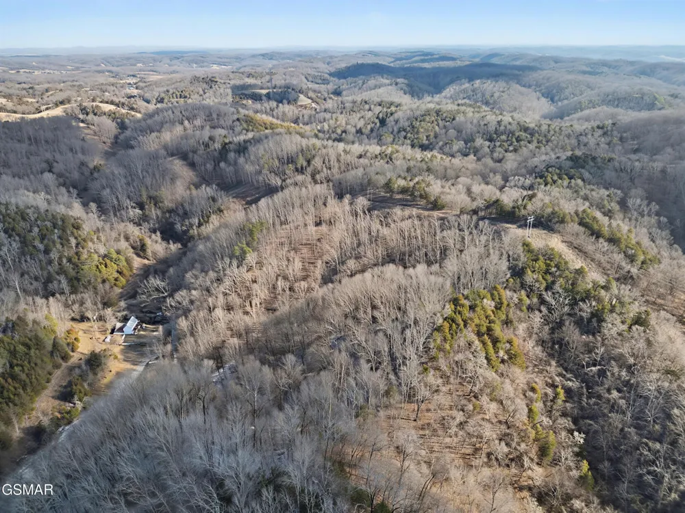 0 McAmis Hollow Road Newport, TN 37821