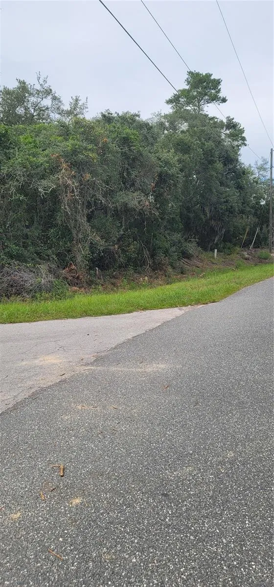 Lot 15 OLIVE WAY ocala, FL 34472