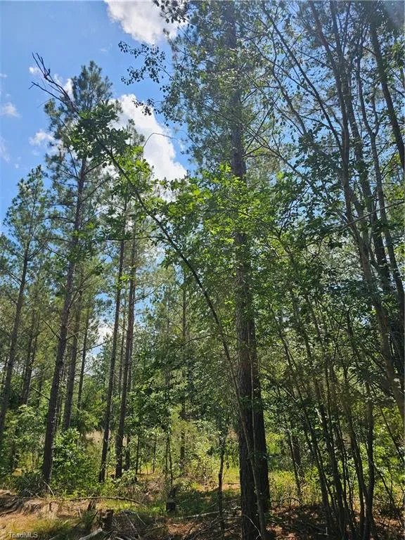 5600 Bennett Road Seagrove, NC 27341