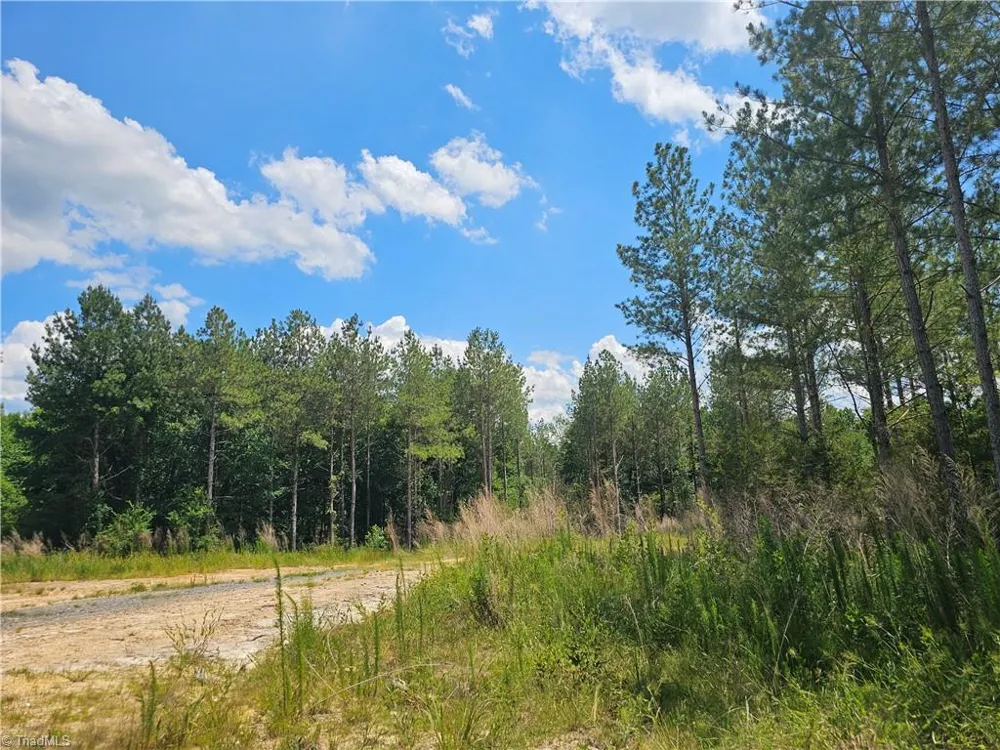 5600 Bennett Road Seagrove, NC 27341