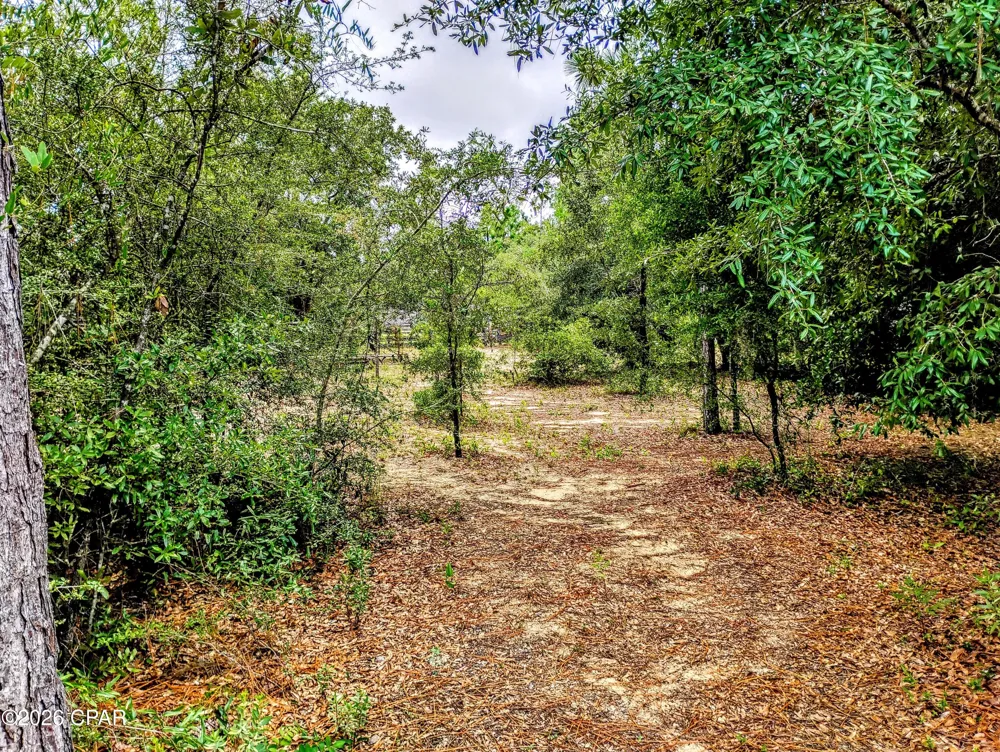 8 Shenandoah Boulevard Chipley, FL 32428