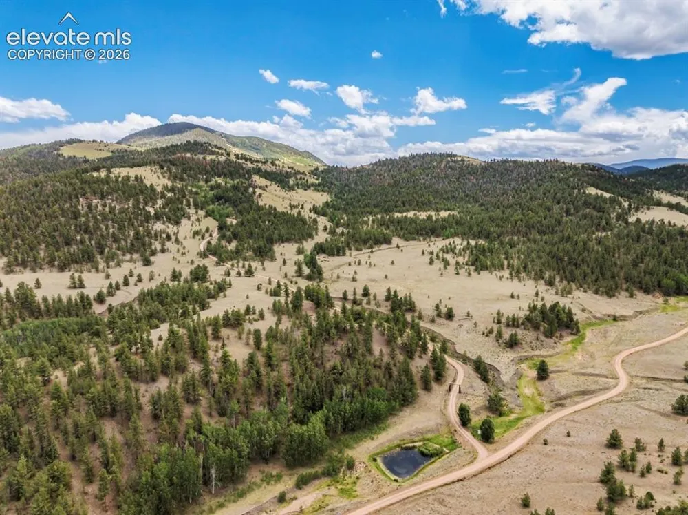 2416 Aspen Meadows Lane Guffey, CO 80820