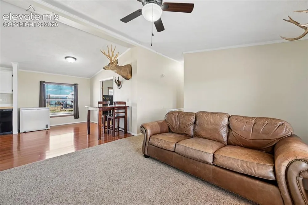 3320 Hoofbeat Road Peyton, CO 80831