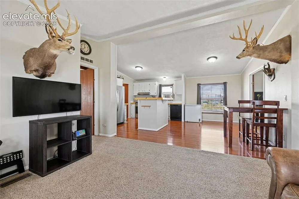 3320 Hoofbeat Road Peyton, CO 80831