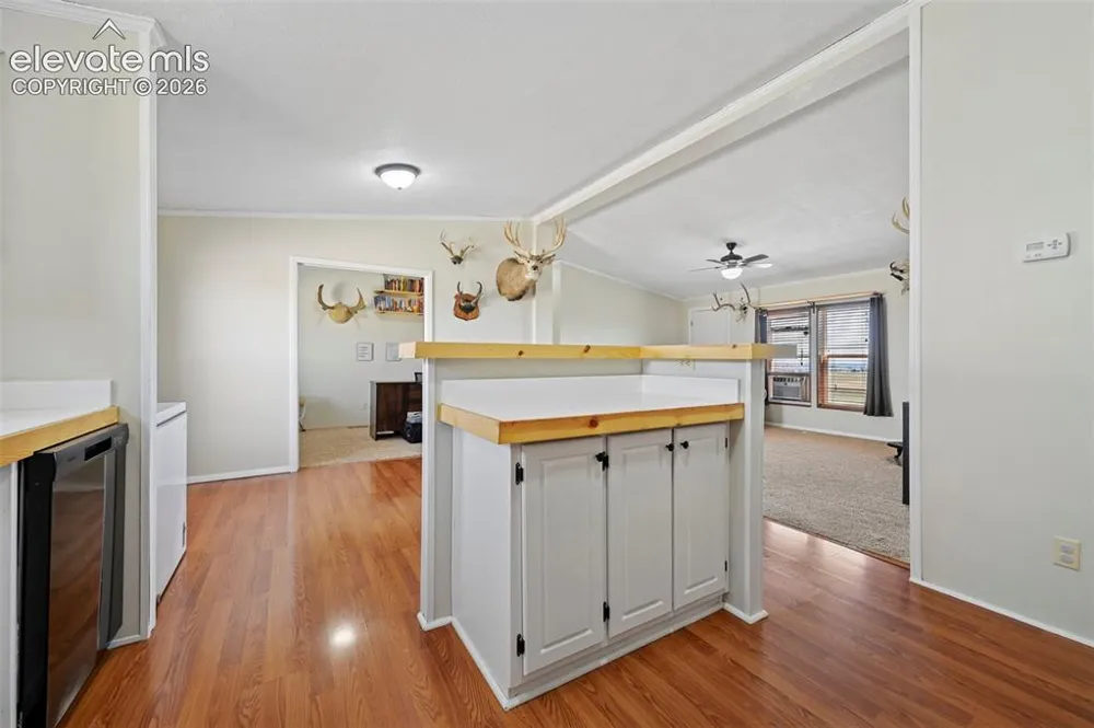 3320 Hoofbeat Road Peyton, CO 80831