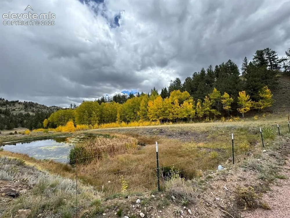 2416 Aspen Meadows Lane Guffey, CO 80820