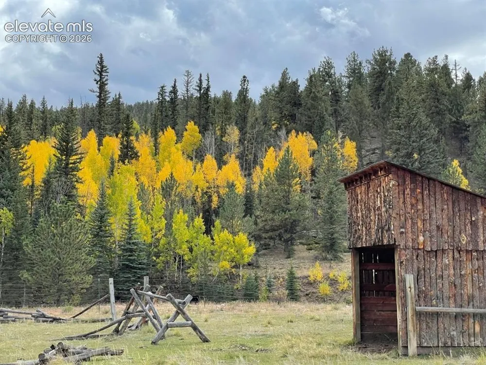 2416 Aspen Meadows Lane Guffey, CO 80820