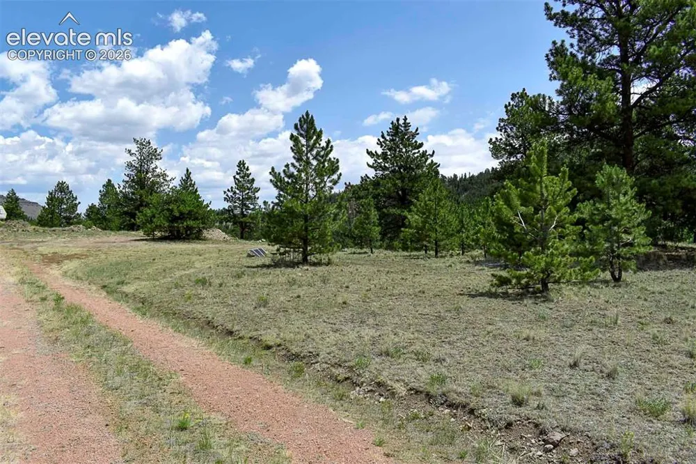 376 Copeland Road Guffey, CO 80820