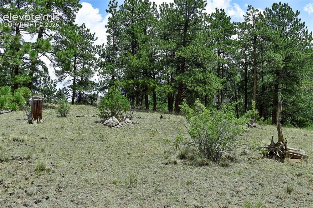 376 Copeland Road Guffey, CO 80820