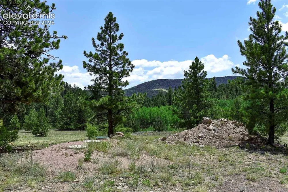 376 Copeland Road Guffey, CO 80820