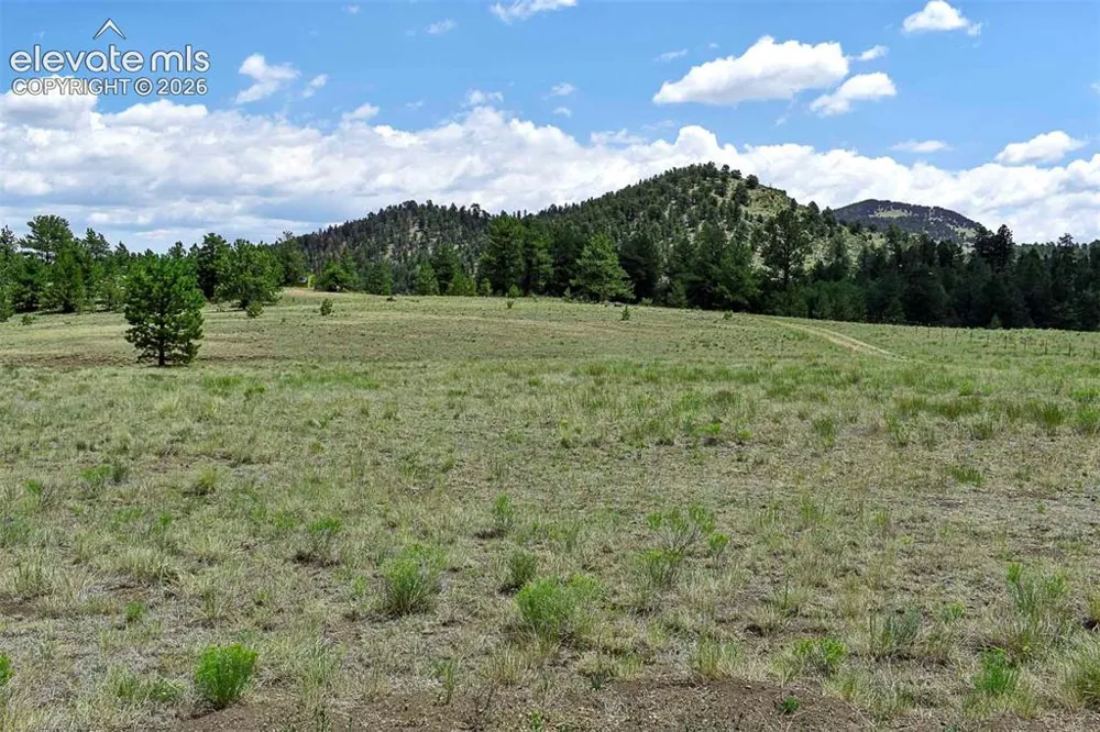 376 Copeland Road Guffey, CO 80820