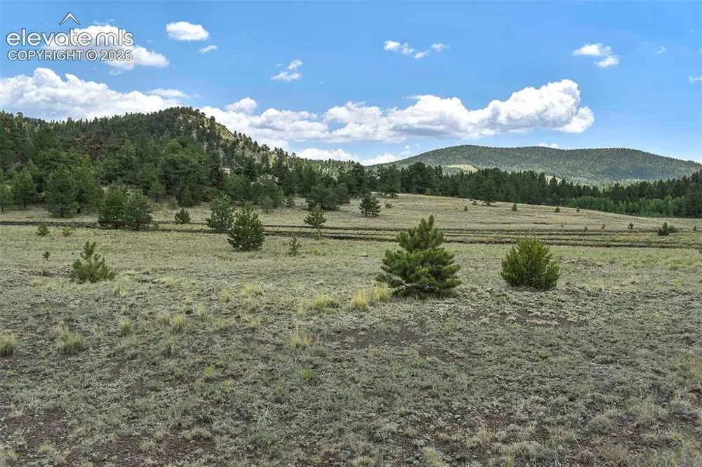 376 Copeland Road Guffey, CO 80820