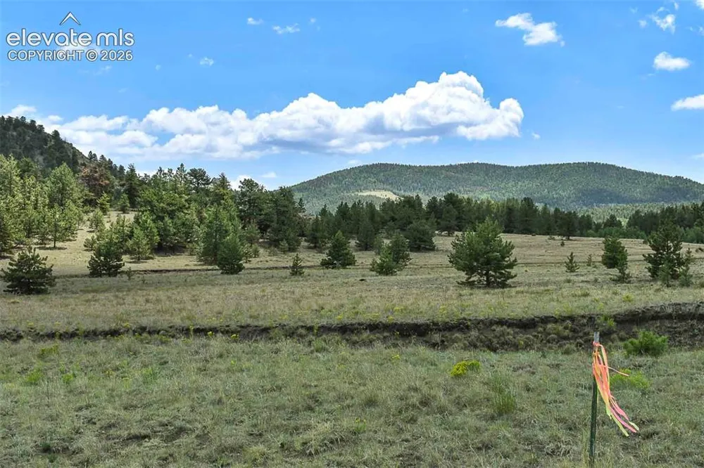 376 Copeland Road Guffey, CO 80820