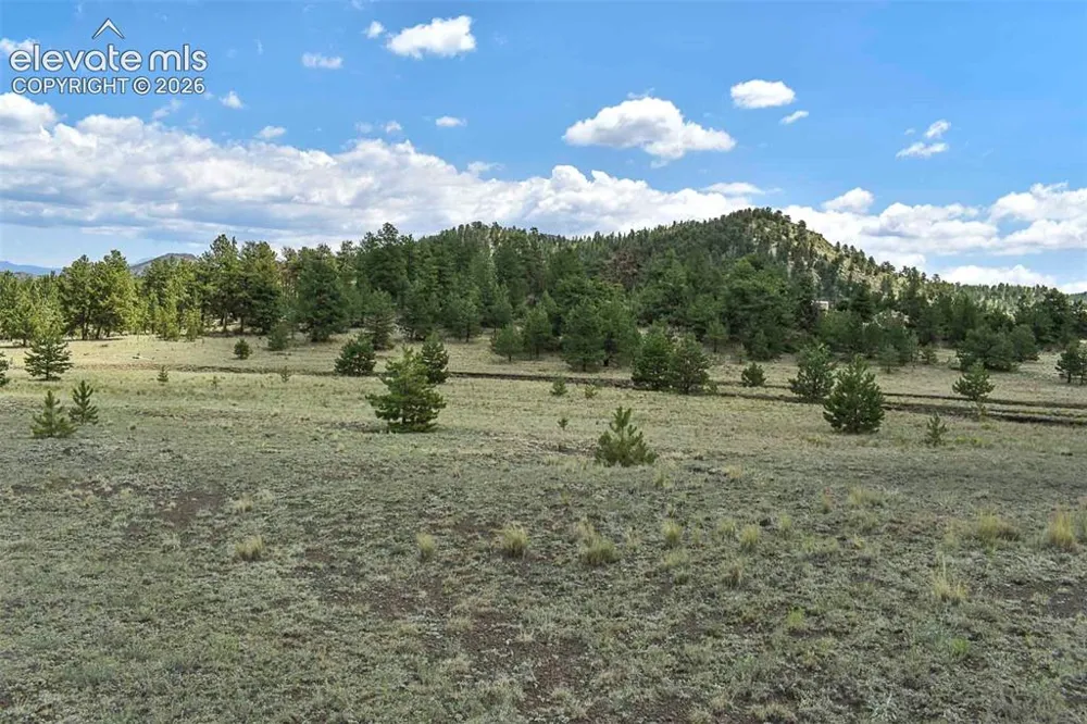376 Copeland Road Guffey, CO 80820
