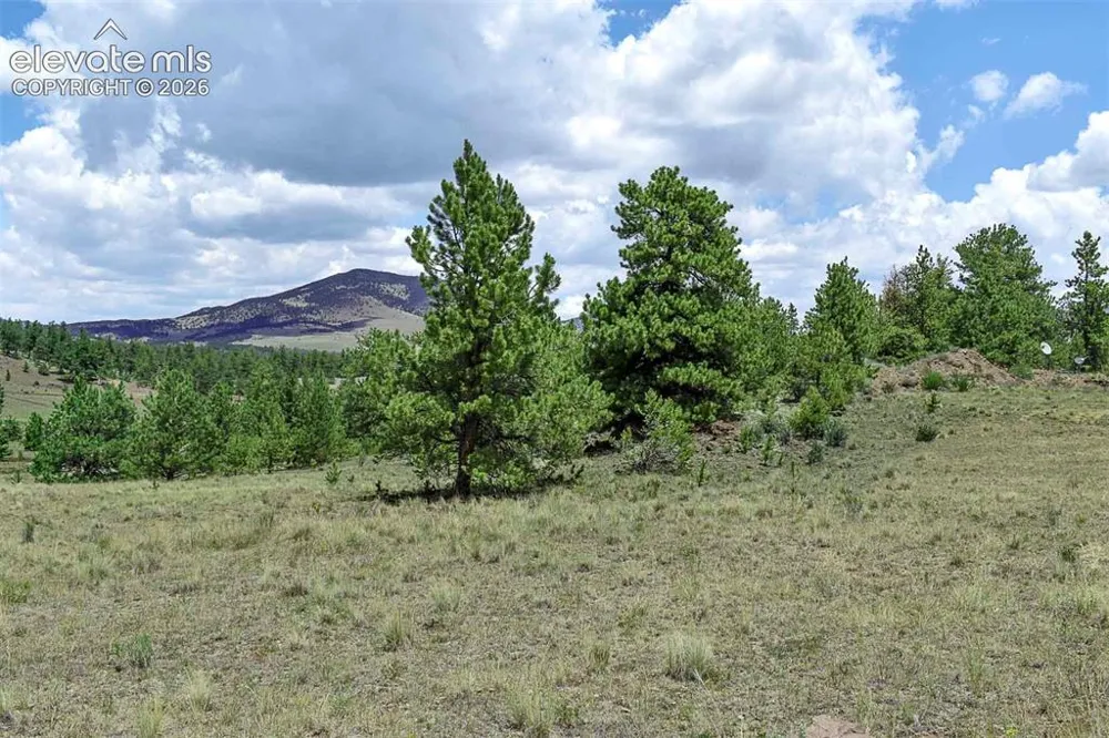 376 Copeland Road Guffey, CO 80820