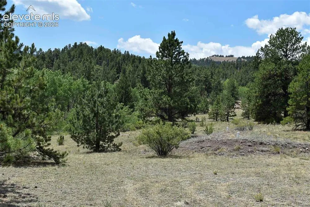 376 Copeland Road Guffey, CO 80820