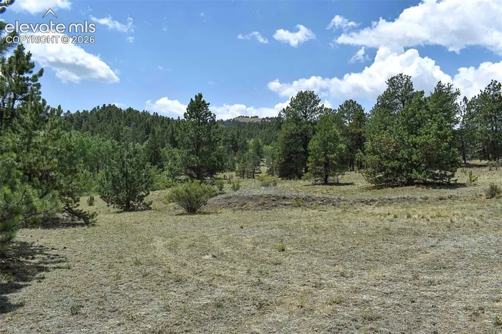 376 Copeland Road Guffey, CO 80820