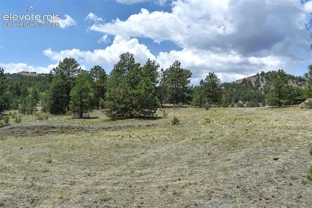 376 Copeland Road Guffey, CO 80820