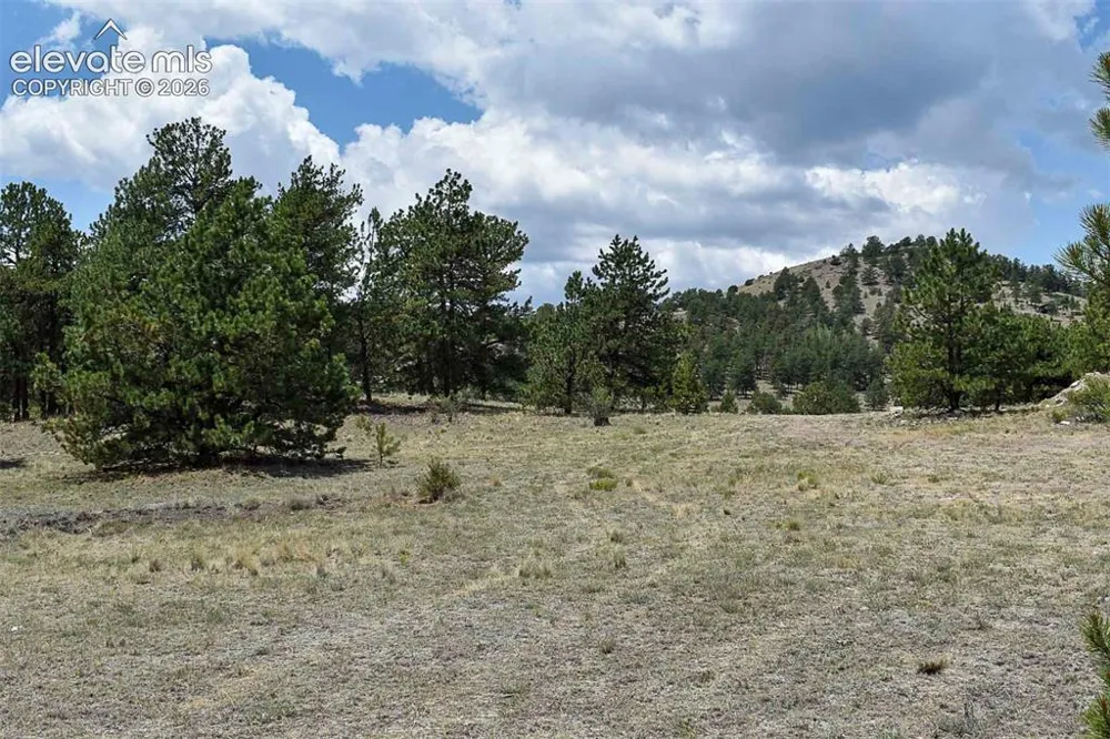 376 Copeland Road Guffey, CO 80820