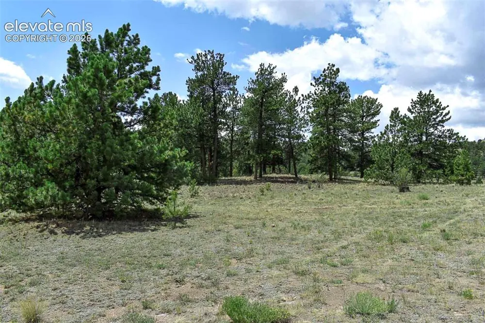 376 Copeland Road Guffey, CO 80820