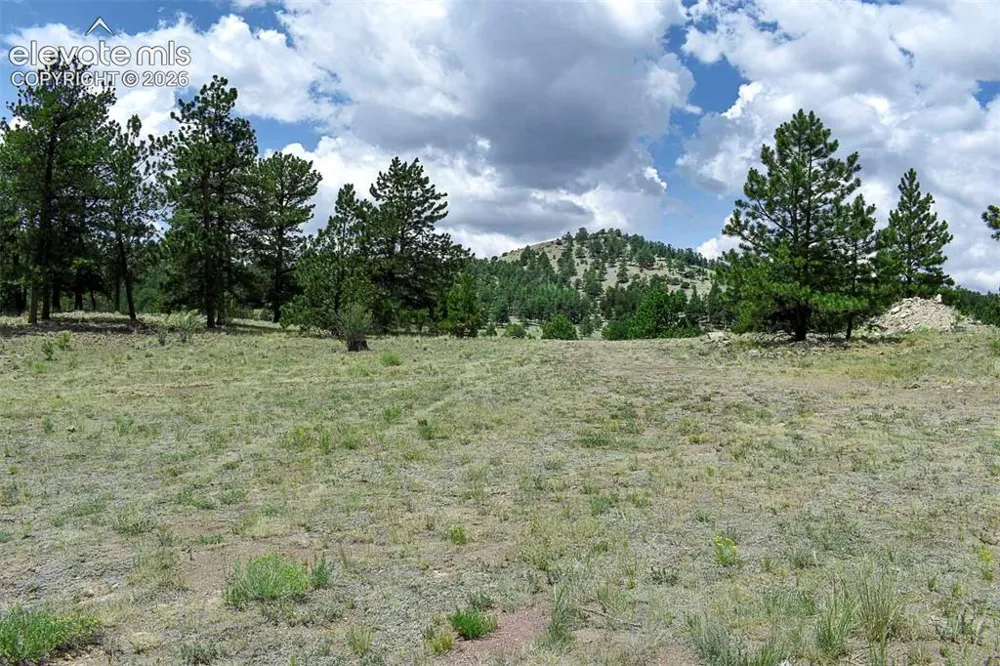 376 Copeland Road Guffey, CO 80820