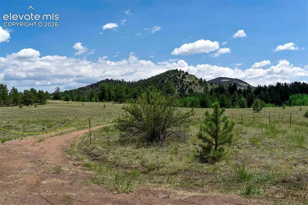 376 Copeland Road Guffey, CO 80820