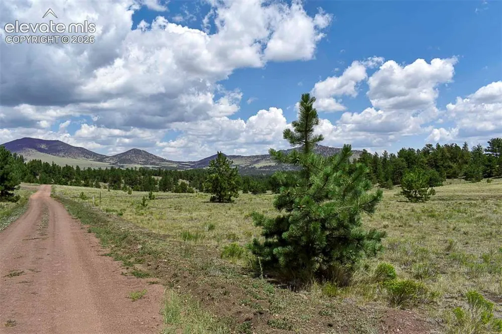 376 Copeland Road Guffey, CO 80820