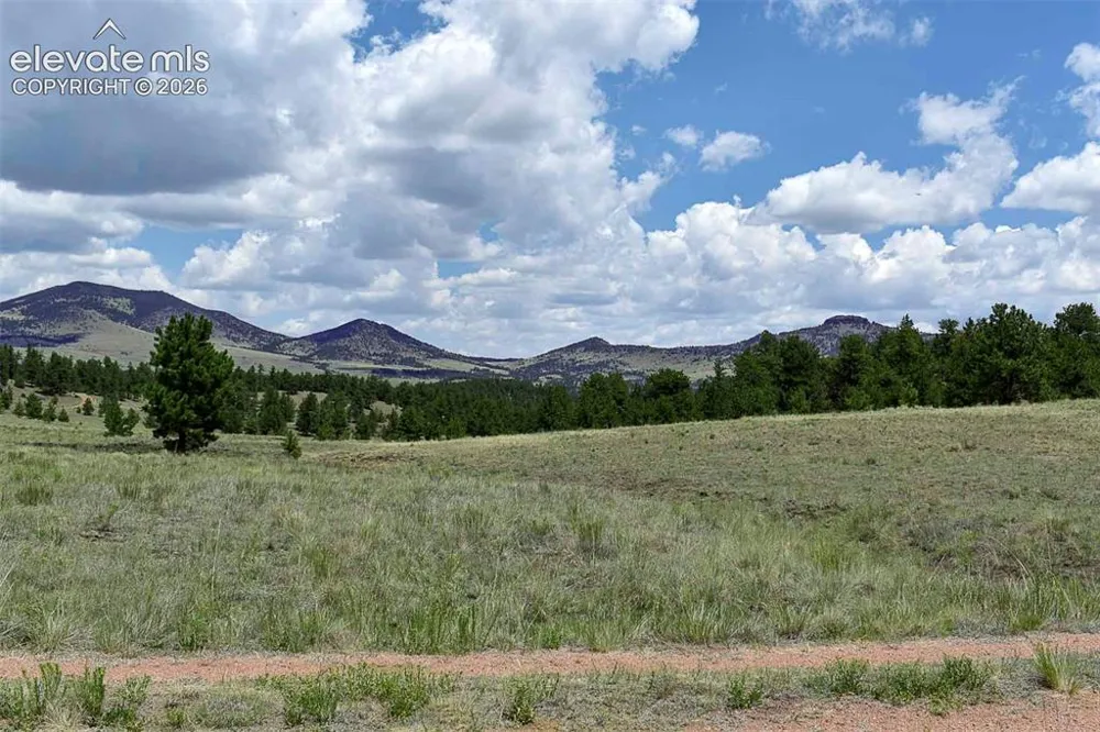 376 Copeland Road Guffey, CO 80820