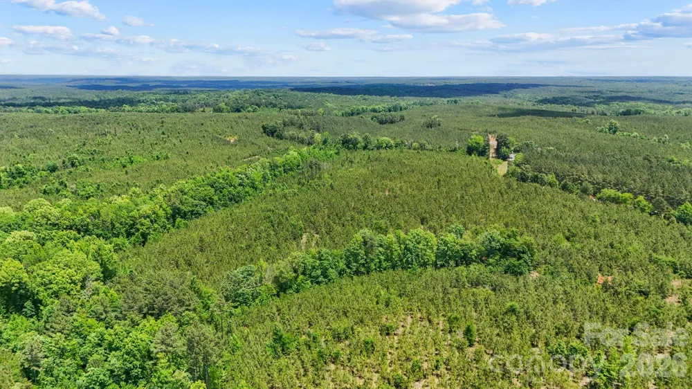0000 Cool Branch Road #3 Carlisle, SC 29706