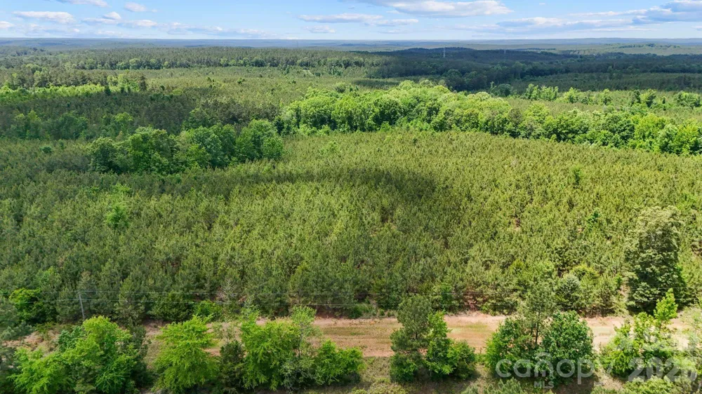 0000 Cool Branch Road #3 Carlisle, SC 29706