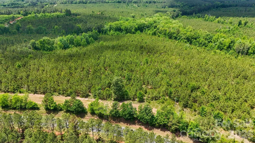 0000 Cool Branch Road #3 Carlisle, SC 29706