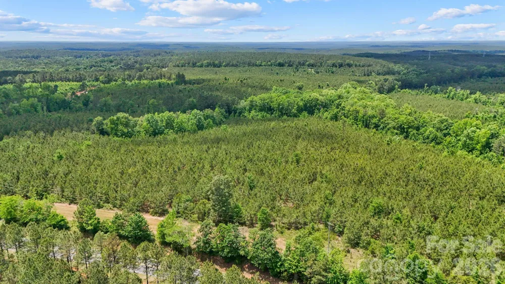 0000 Cool Branch Road #3 Carlisle, SC 29706