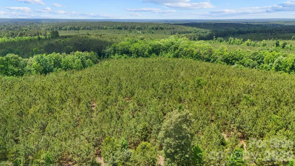 0000 Cool Branch Road #3 Carlisle, SC 29706