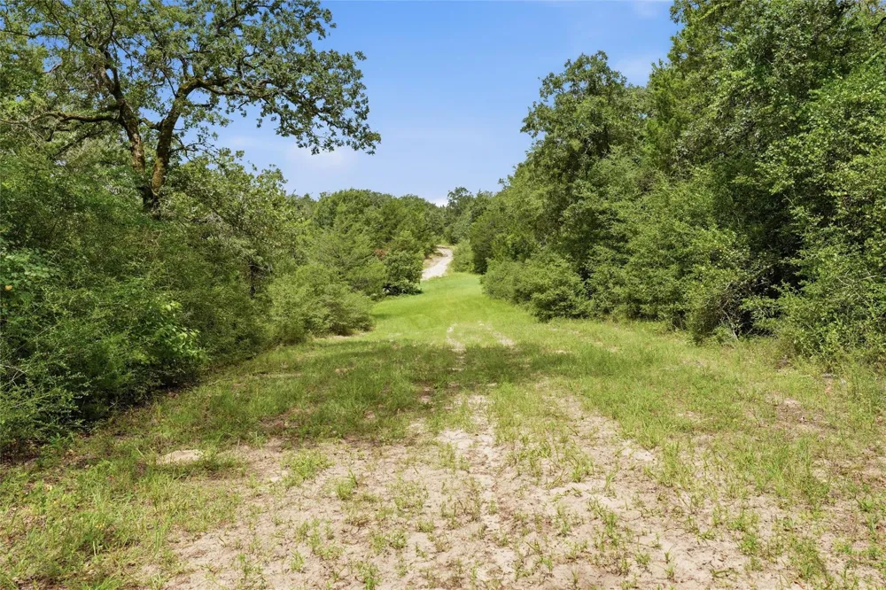 429 Lcr 787 Groesbeck, TX 76642