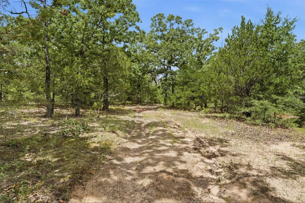 429 Lcr 787 Groesbeck, TX 76642