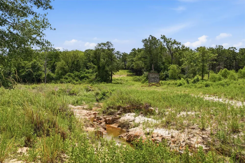 429 Lcr 787 Groesbeck, TX 76642