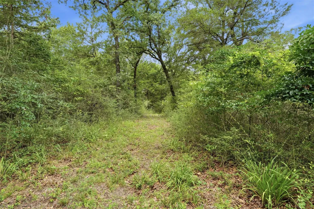 429 Lcr 787 Groesbeck, TX 76642