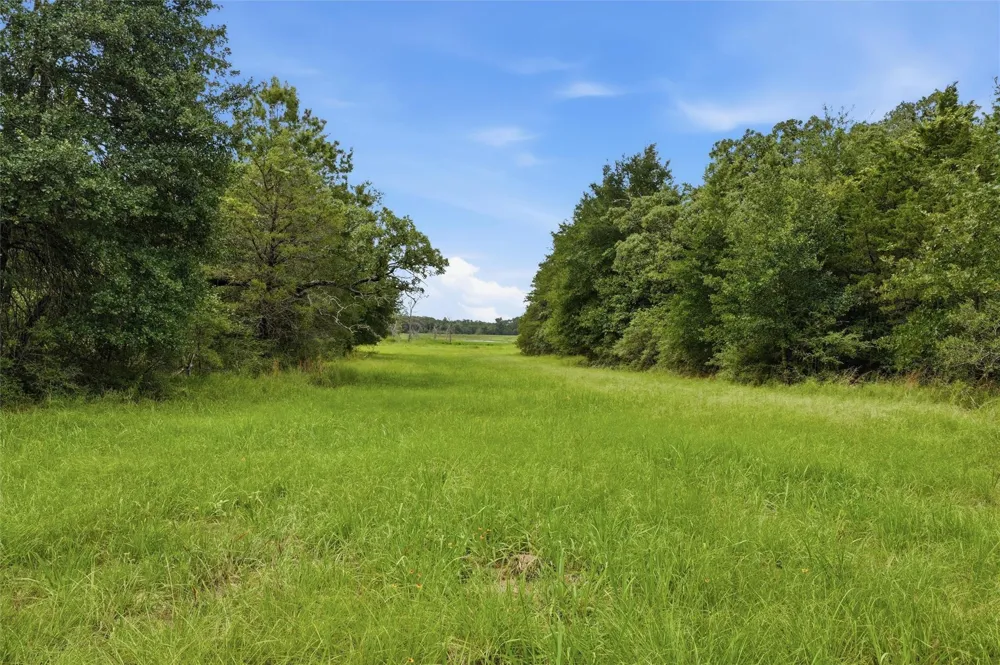 429 Lcr 787 Groesbeck, TX 76642