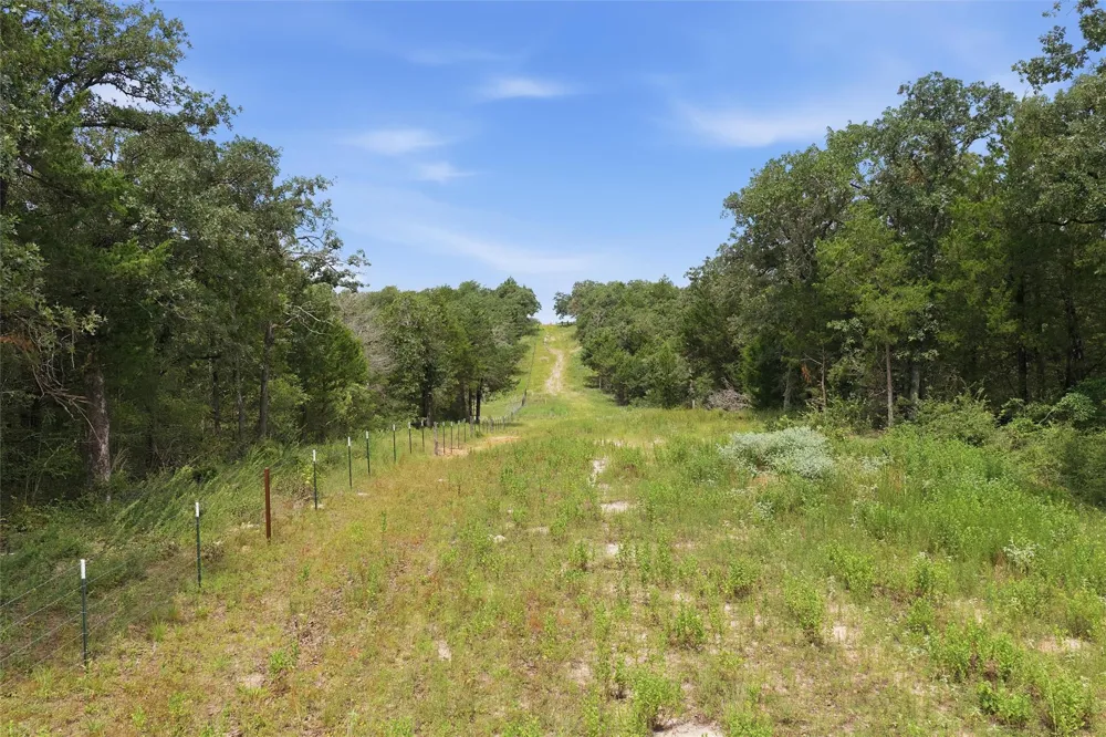429 Lcr 787 Groesbeck, TX 76642