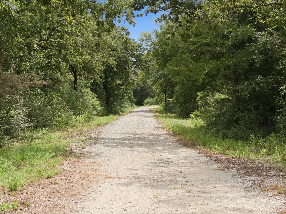 429 Lcr 787 Groesbeck, TX 76642