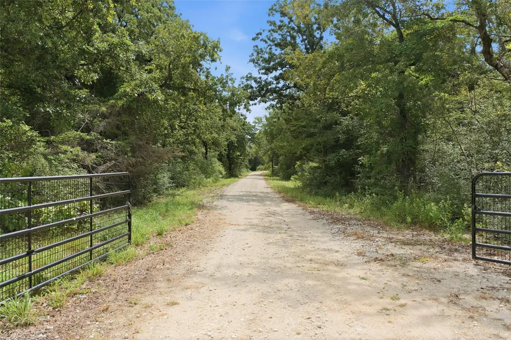 429 Lcr 787 Groesbeck, TX 76642