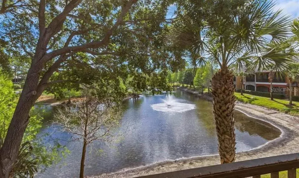 2139 CHIANTI PLACE #152 Palm Harbor, FL 34683