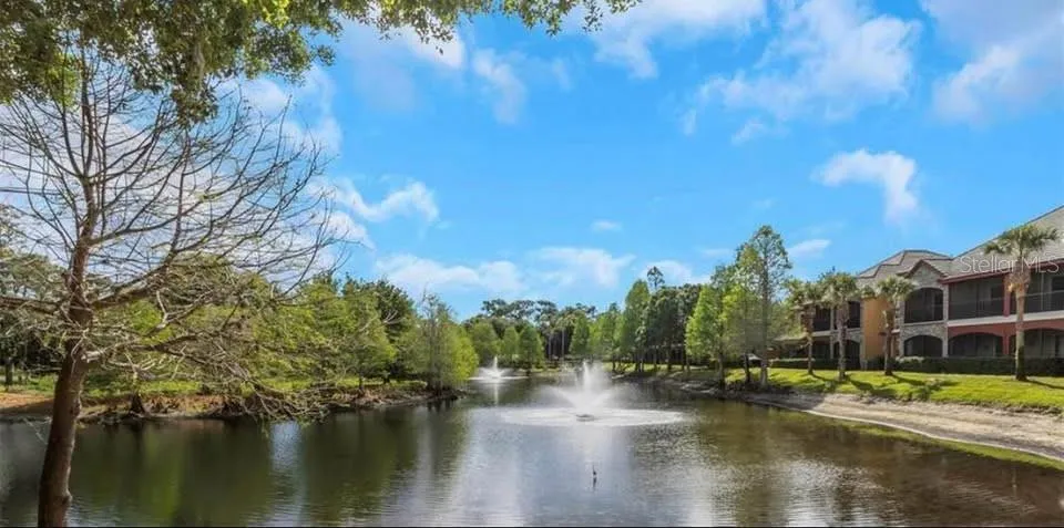 2139 CHIANTI PLACE #152 Palm Harbor, FL 34683