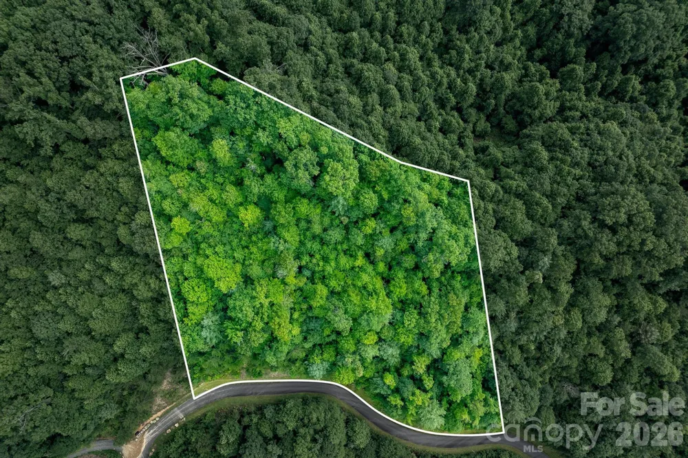 565 Pine Cone Trail Marshall, NC 28753