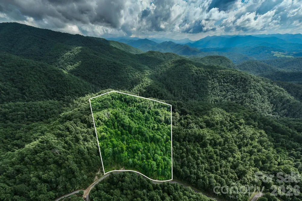 565 Pine Cone Trail Marshall, NC 28753
