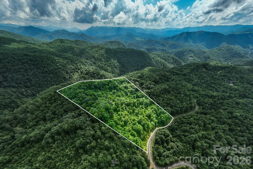 565 Pine Cone Trail Marshall, NC 28753