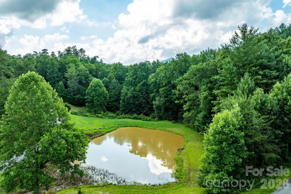 565 Pine Cone Trail Marshall, NC 28753