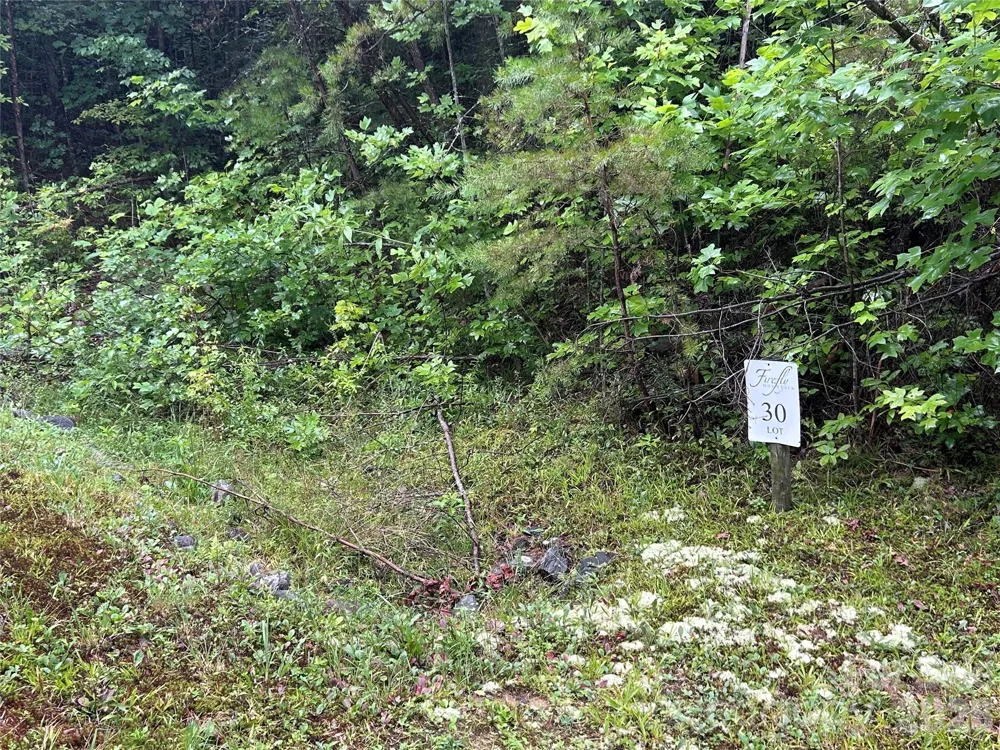 565 Pine Cone Trail Marshall, NC 28753